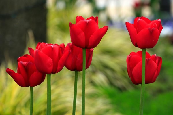 Ravalement de façade dans les yvelines : l'expertise d'actif confort