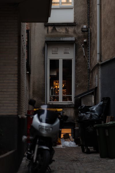 Cache poubelle : choisissez la solution idéale pour un extérieur propre